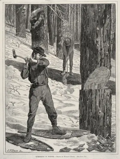 Dřevorubectví v zimě, Winslow Homer