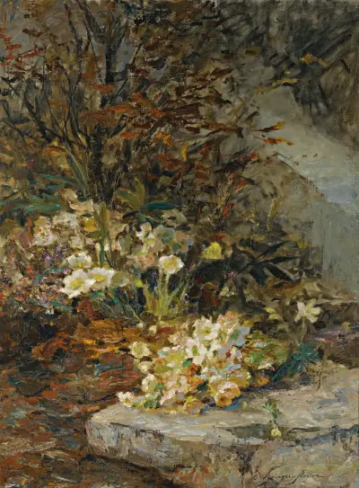 Schneerosen (Hellebores) av Olga Wisinger-Florian