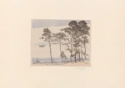 Kleine Kiefern Nr. II von Leon Wyczółkowski
