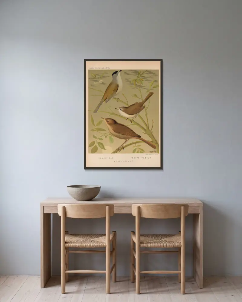 Blackcap, Whitethroat, Nightingale av W. A . Blakston inramad på en vägg