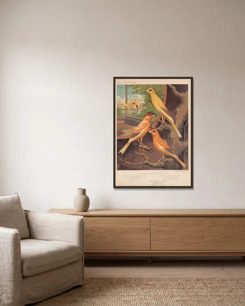 Zimtkanarien, gezeichnete und gehaubte Arten von W. A . Blakston gerahmt an einer Wand