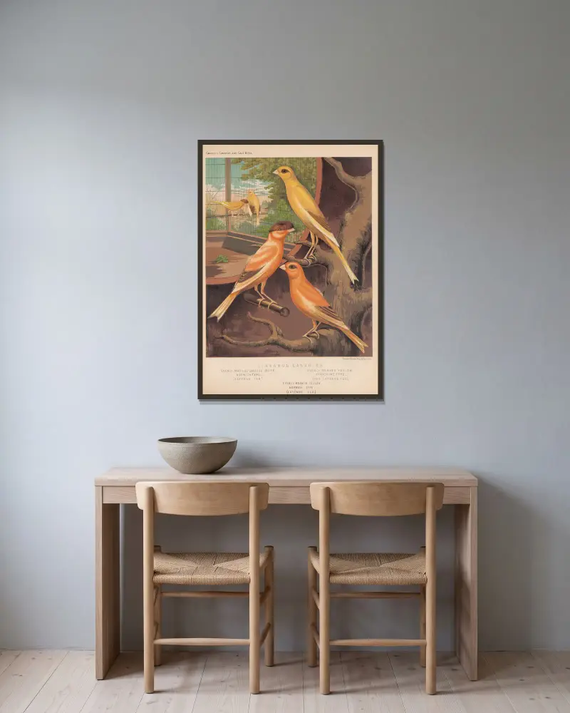 Zimtkanarien, gezeichnete und gehaubte Arten von W. A . Blakston gerahmt an einer Wand