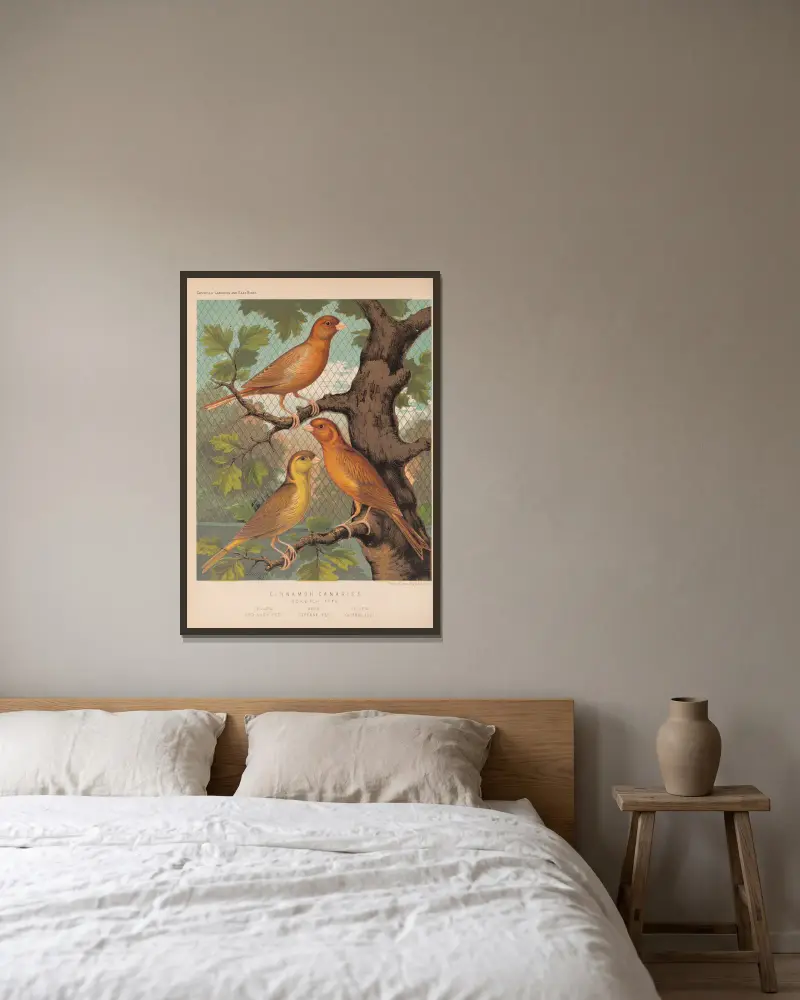 Cinnamon Canaries, Norwich Type av W. A . Blakston inramad på en vägg