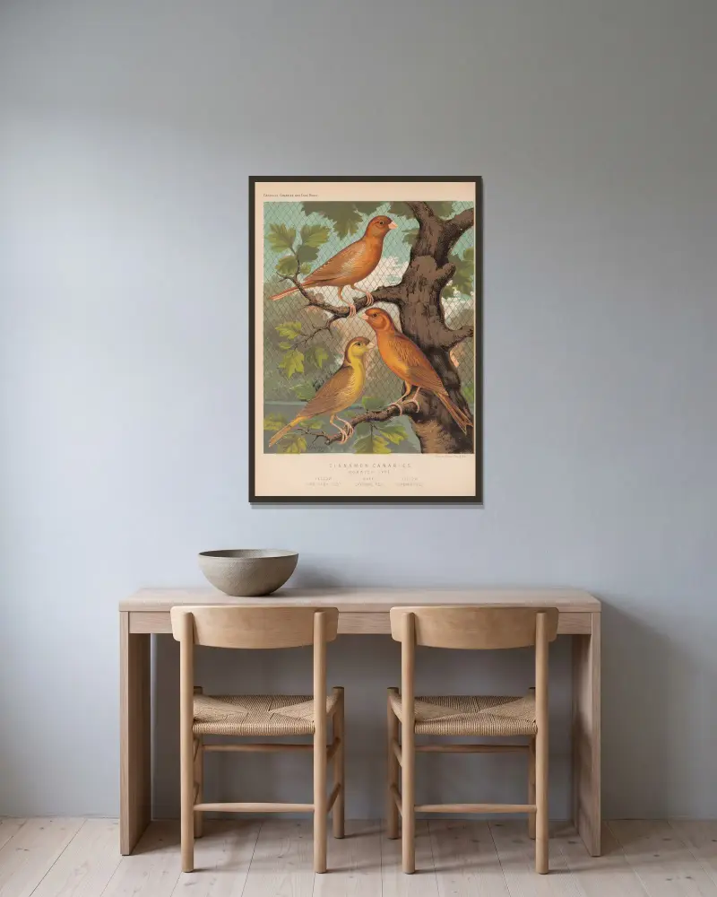 Cinnamon Canaries, Norwich Type av W. A . Blakston inramad på en vägg