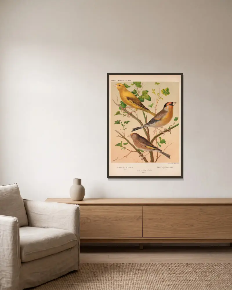 Goldfinch, Linnet, Bullfinch av W. A . Blakston inramad på en vägg