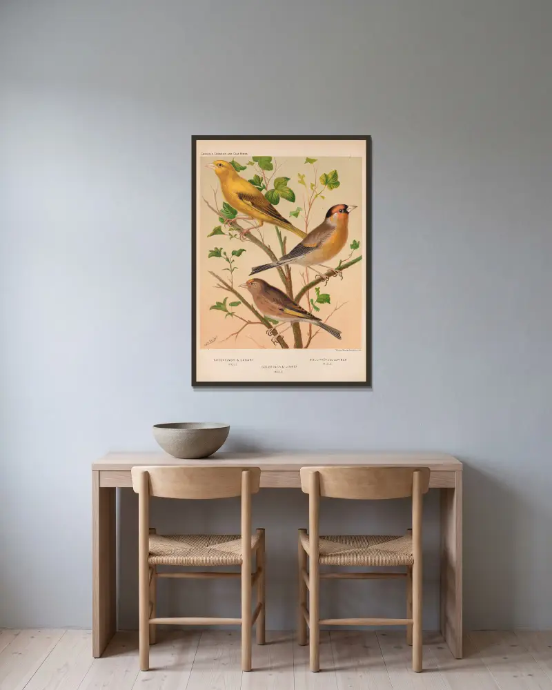 Goldfinch, Linnet, Bullfinch av W. A . Blakston inramad på en vägg