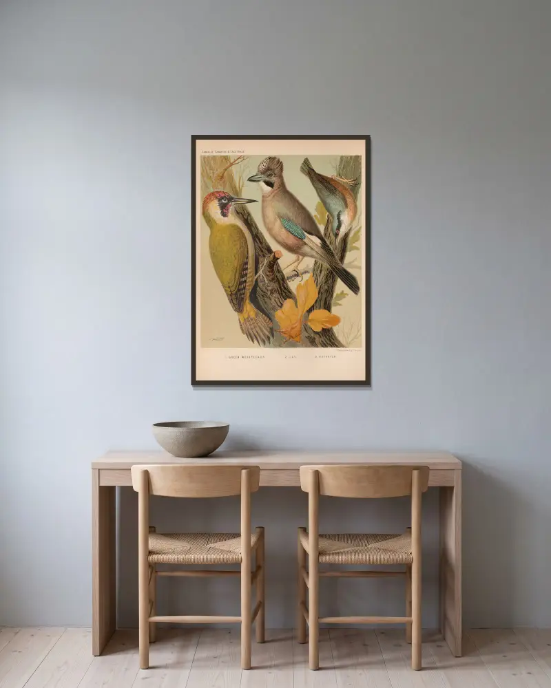 Jay, Woodpecker, Nuthatch av W. A . Blakston inramad på en vägg