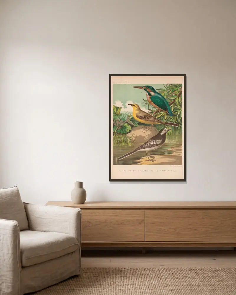 Eisvogel, Bachstelzen von W. A . Blakston gerahmt an einer Wand
