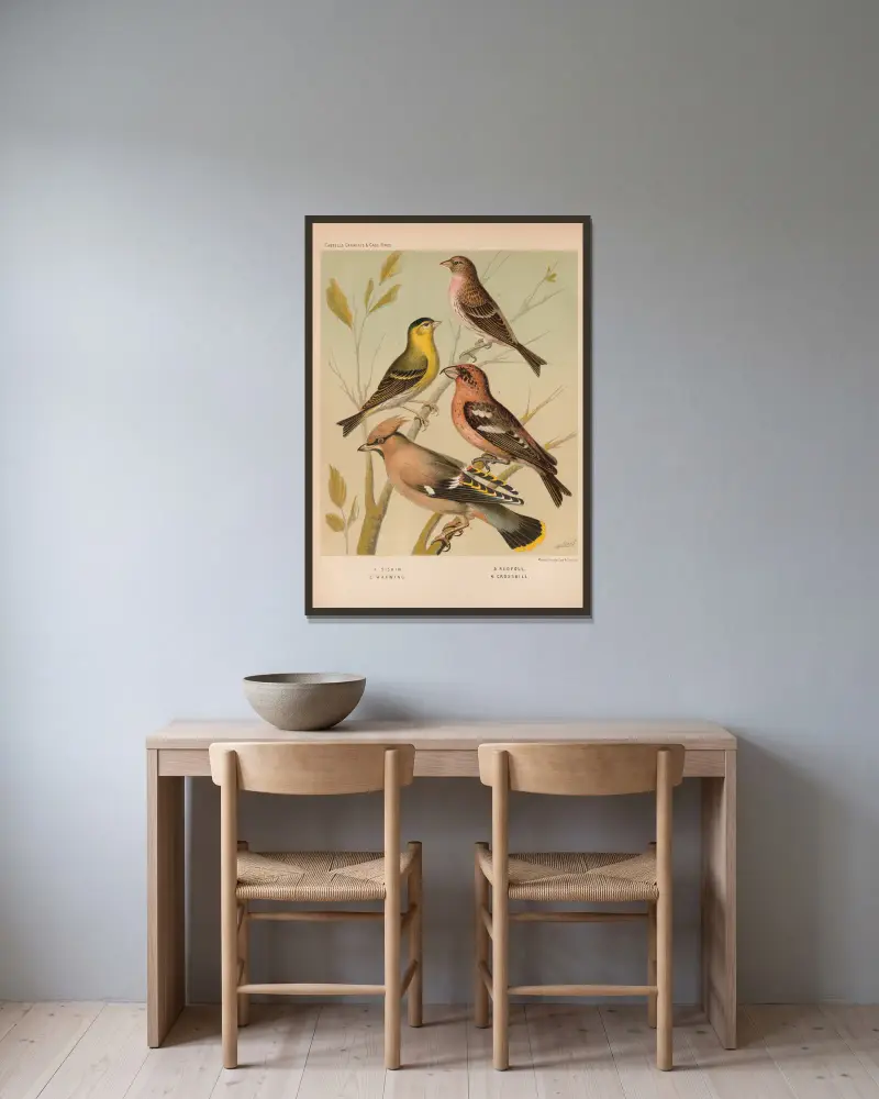 Siskin, Redpoll, Waxwing, Crossbill av W. A . Blakston inramad på en vägg