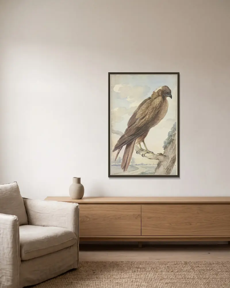 A kite av Aert Schouman inramad på en vägg