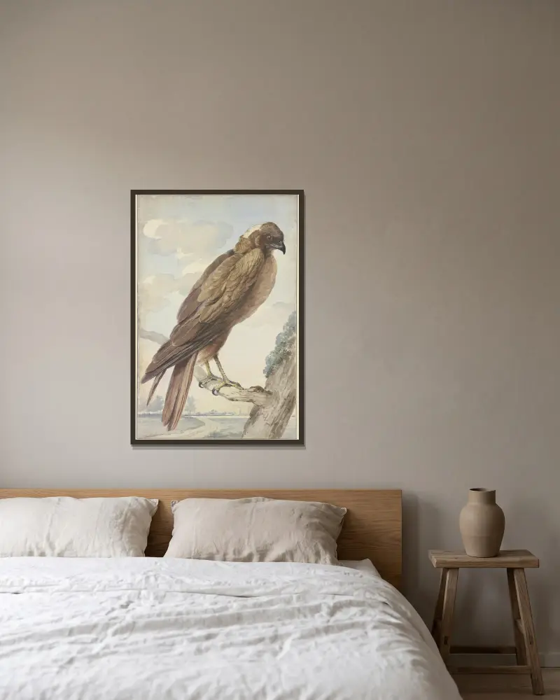 A kite av Aert Schouman inramad på en vägg