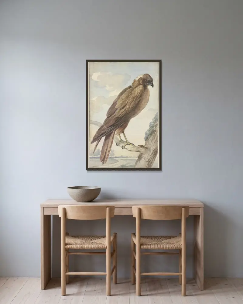 A kite av Aert Schouman inramad på en vägg