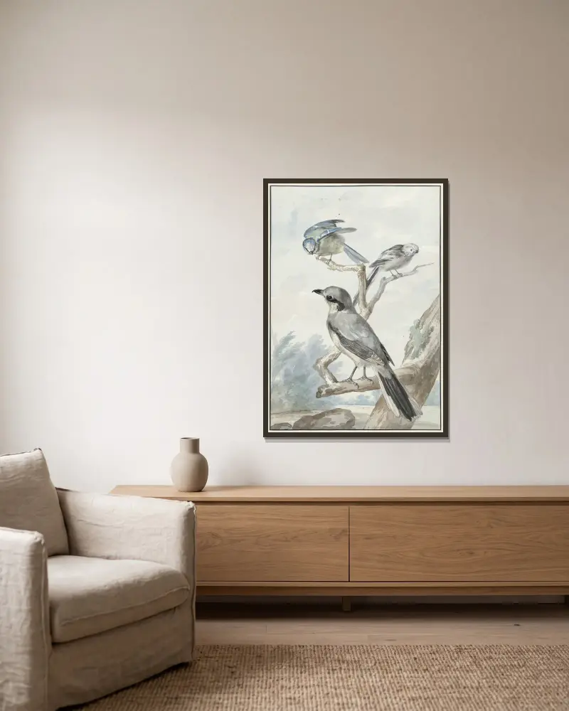 Drei Vögel; eine Schwanzmeise, eine Blaumeise und ein Raubwürger oder Großer Würger von Aert Schouman gerahmt an einer Wand