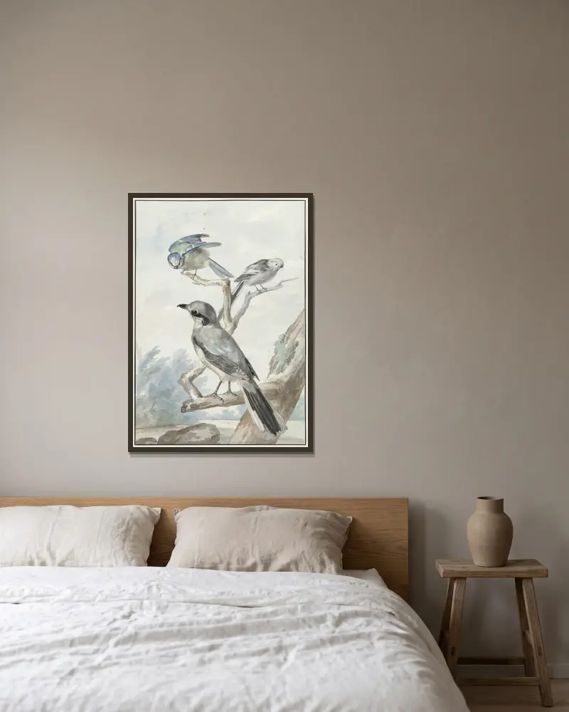 Drei Vögel; eine Schwanzmeise, eine Blaumeise und ein Raubwürger oder Großer Würger von Aert Schouman gerahmt an einer Wand