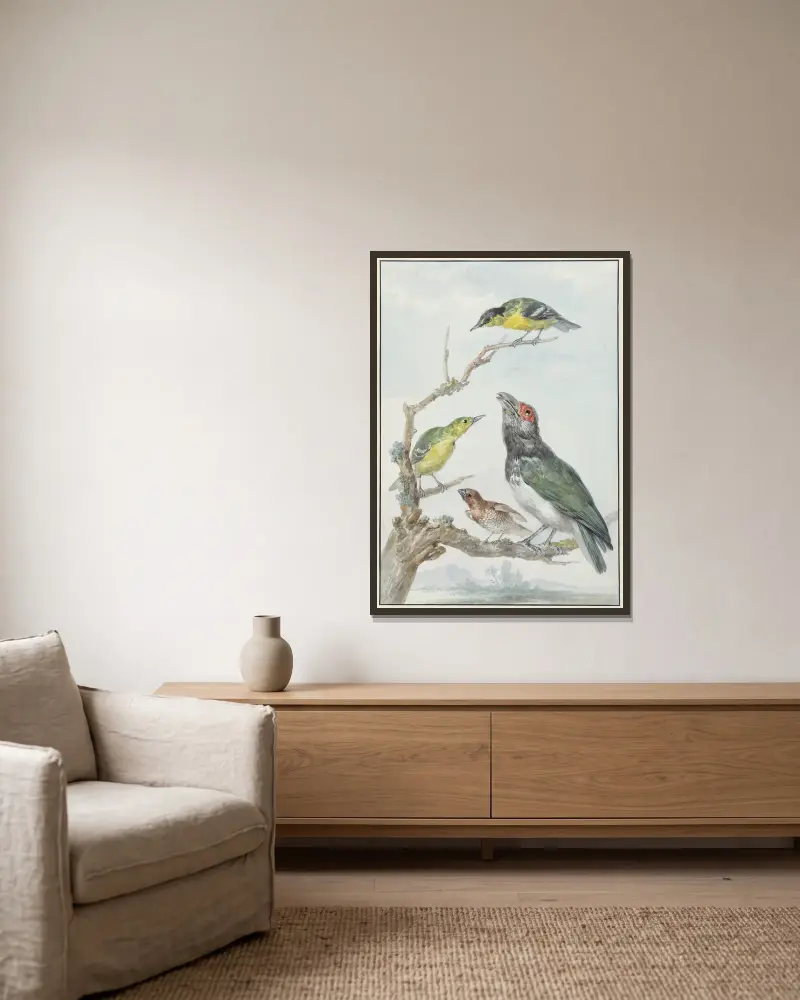Vier verschiedene Vögel auf einem Zweig von Aert Schouman gerahmt an einer Wand
