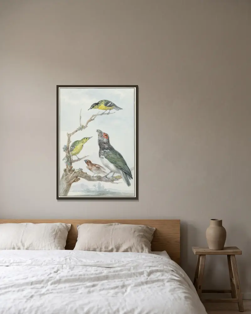 Vier verschiedene Vögel auf einem Zweig von Aert Schouman gerahmt an einer Wand