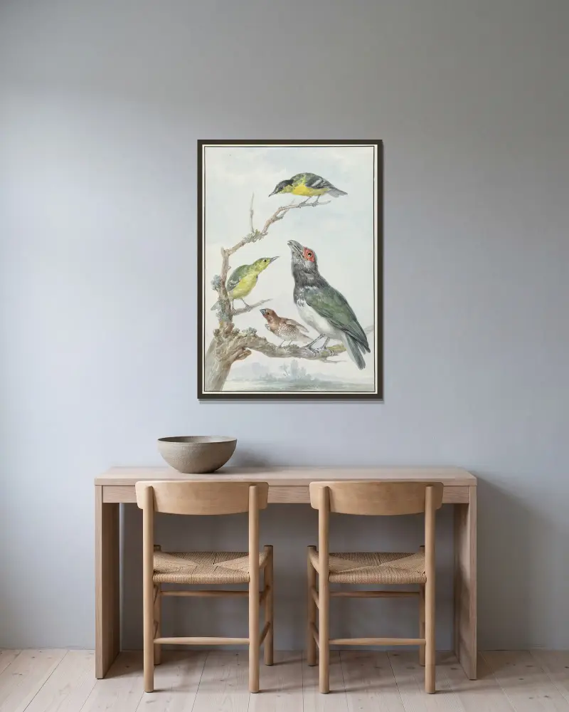 Vier verschiedene Vögel auf einem Zweig von Aert Schouman gerahmt an einer Wand