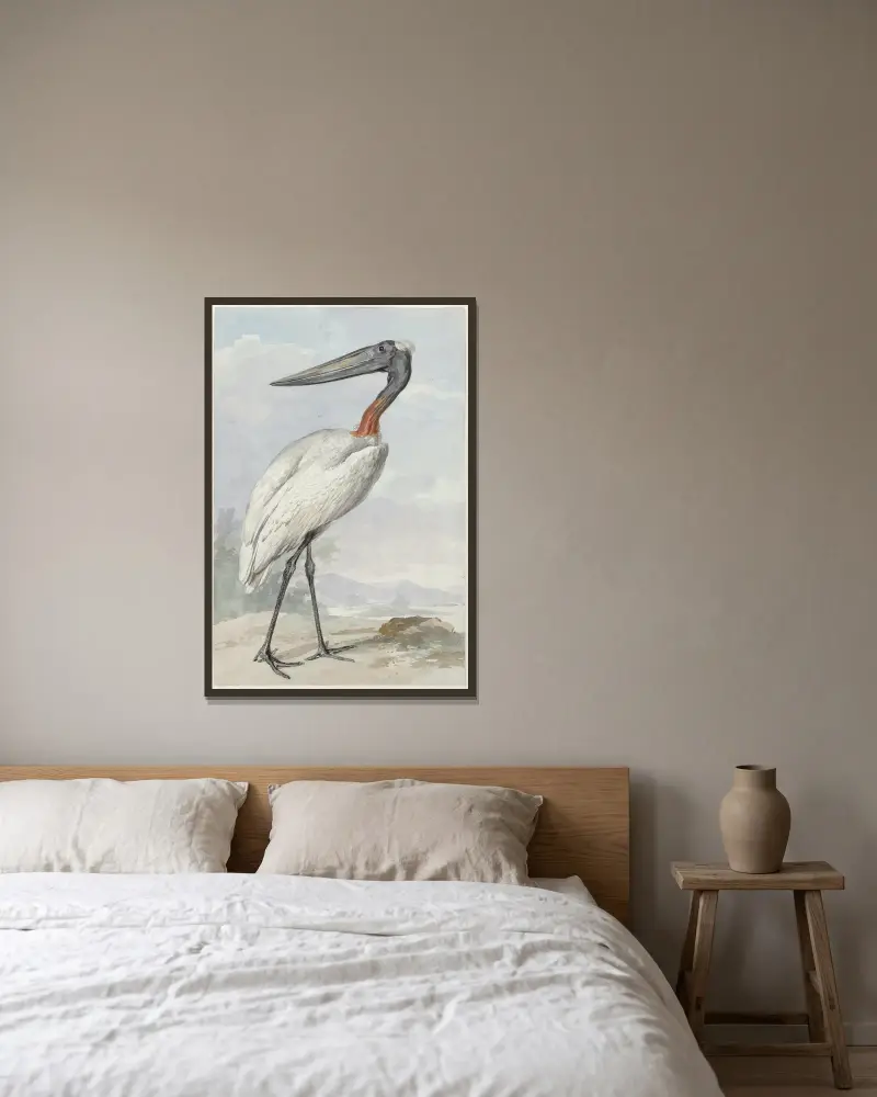 Jabiroe (Jabiroe mycteria) av Aert Schouman inramad på en vägg