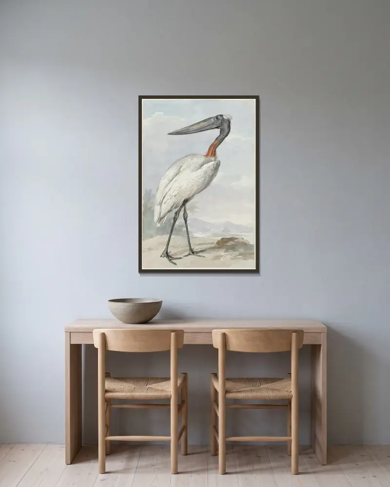 Jabiroe (Jabiroe mycteria) av Aert Schouman inramad på en vägg