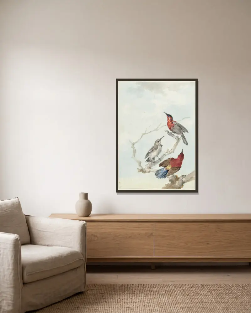 Drei karmesinrote Sonnenvögel von Aert Schouman gerahmt an einer Wand
