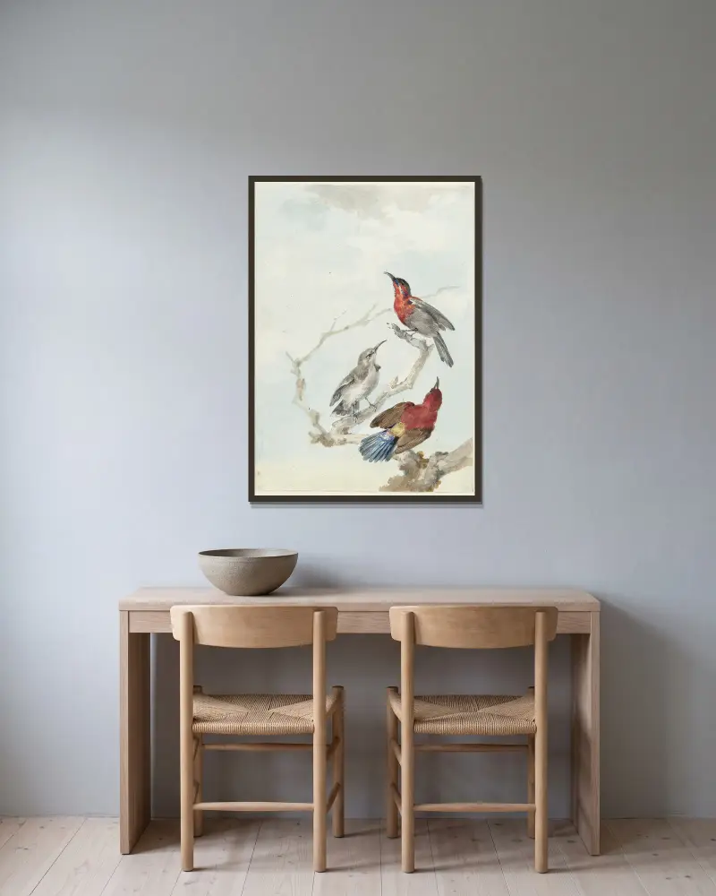 Drei karmesinrote Sonnenvögel von Aert Schouman gerahmt an einer Wand