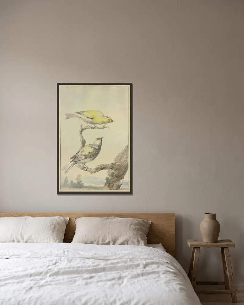 Two canaries av Aert Schouman inramad på en vägg