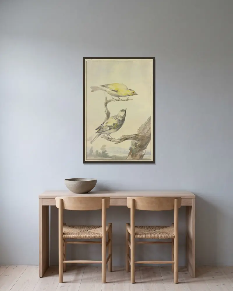 Two canaries av Aert Schouman inramad på en vägg