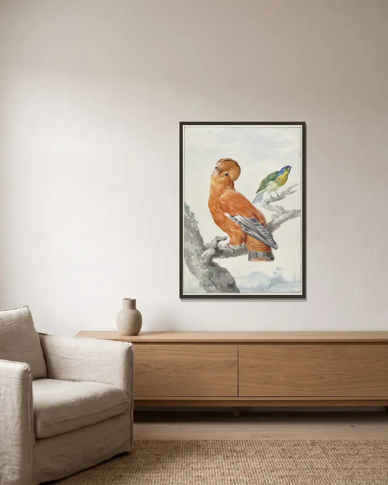 Zwei exotische Vögel von Aert Schouman gerahmt an einer Wand