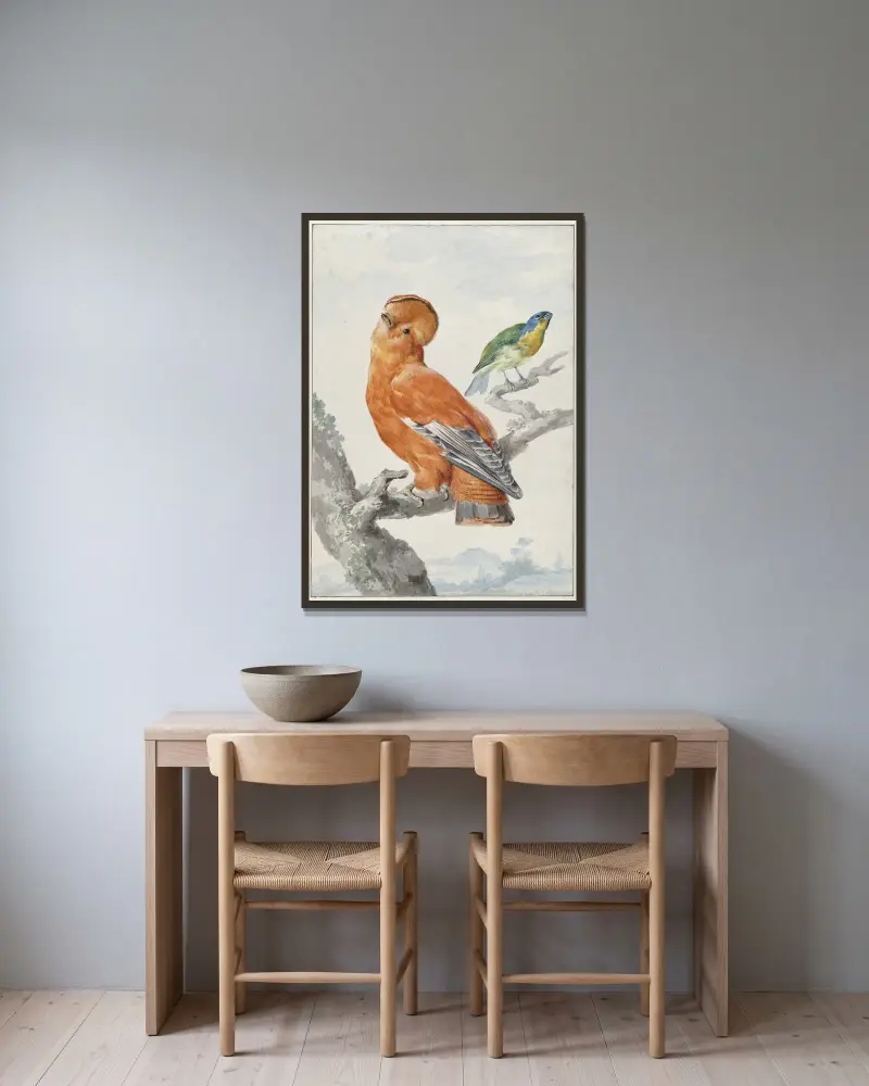 Zwei exotische Vögel von Aert Schouman gerahmt an einer Wand