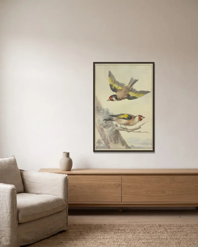 Zwei Stieglitze von Aert Schouman gerahmt an einer Wand