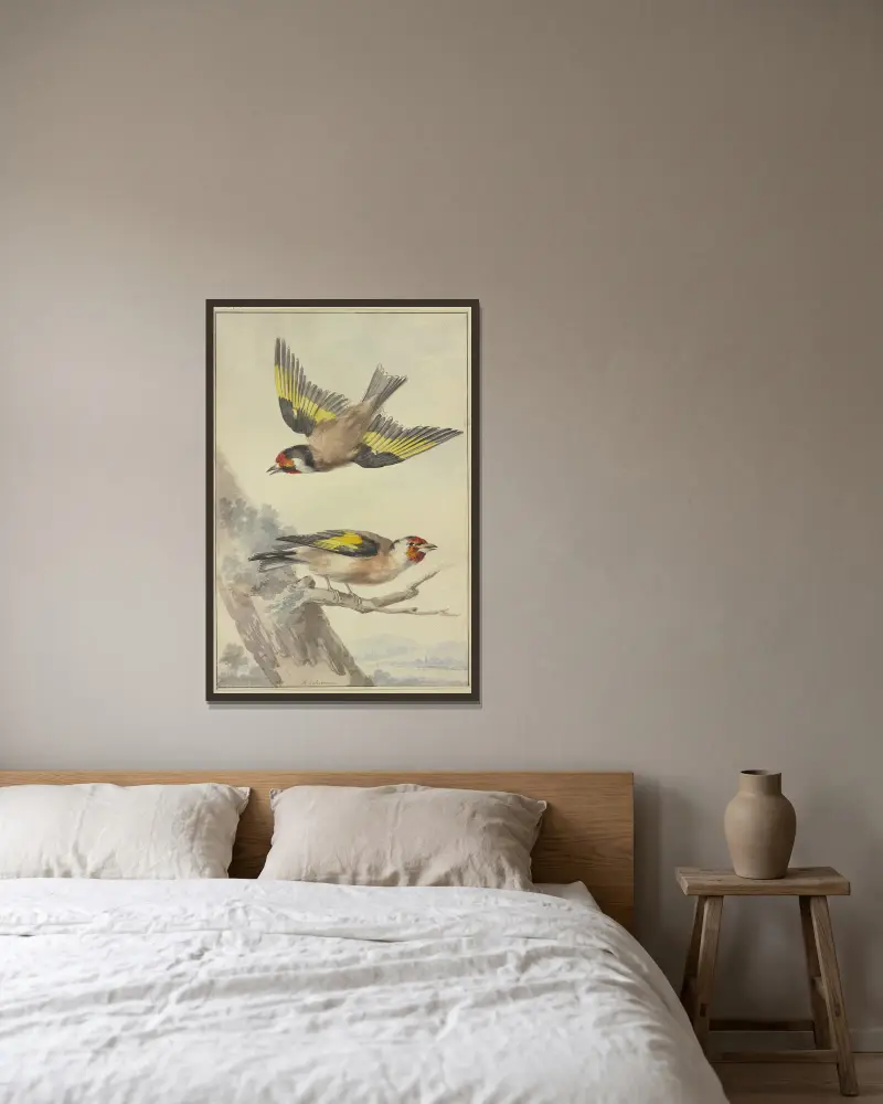 Zwei Stieglitze von Aert Schouman gerahmt an einer Wand