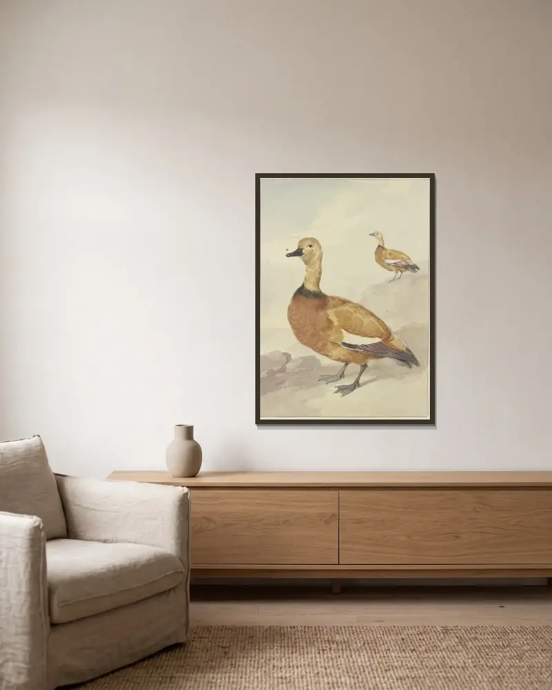Two red ducks av Aert Schouman inramad på en vägg