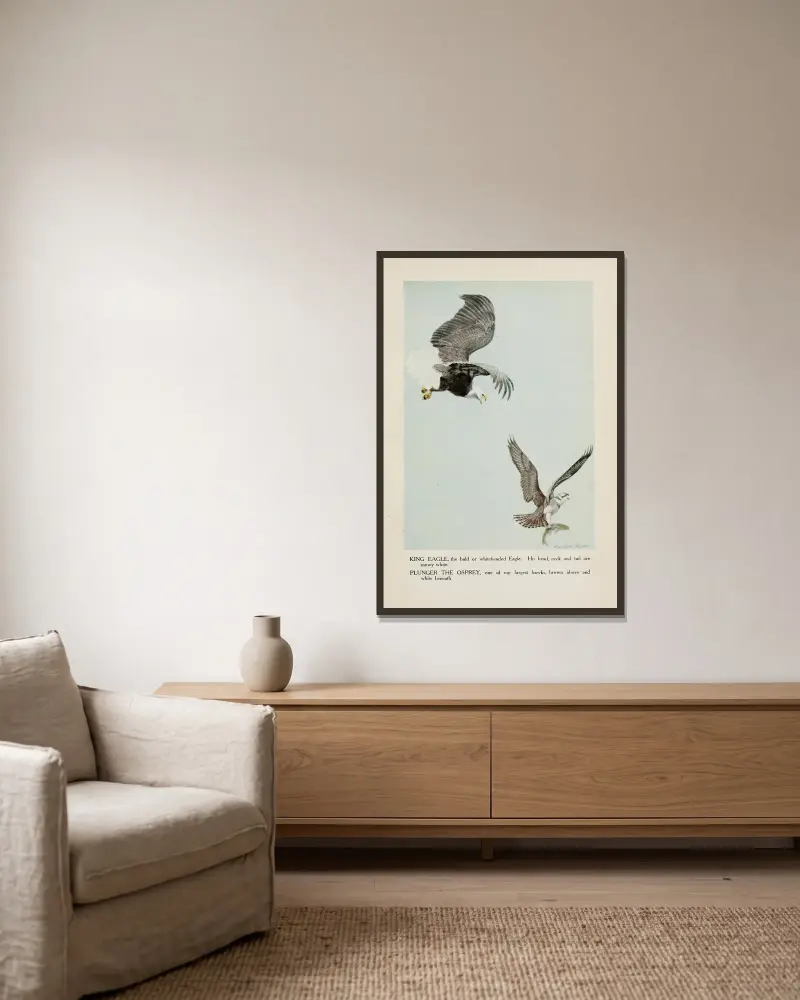 King Eagle, Plunger the Osprey av Louis Agassiz Fuertes inramad på en vägg
