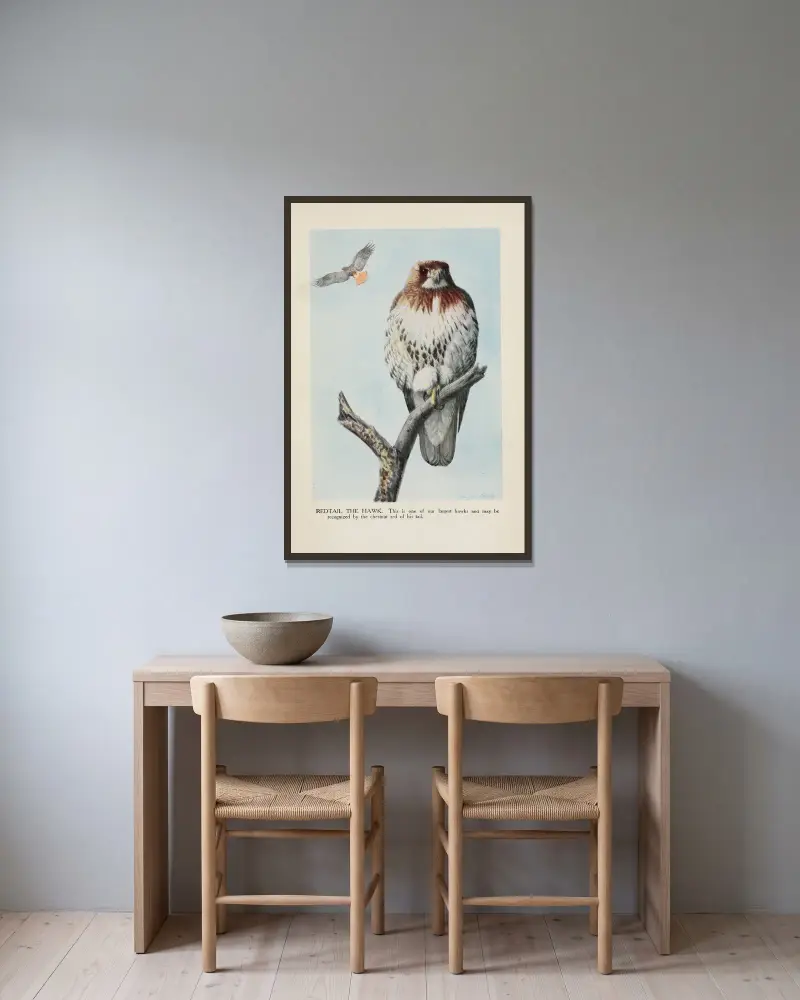 Redtail the Hawk av Louis Agassiz Fuertes inramad på en vägg