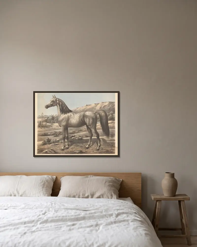 Pferd (arabisch), 1900 von Albert Kull gerahmt an einer Wand