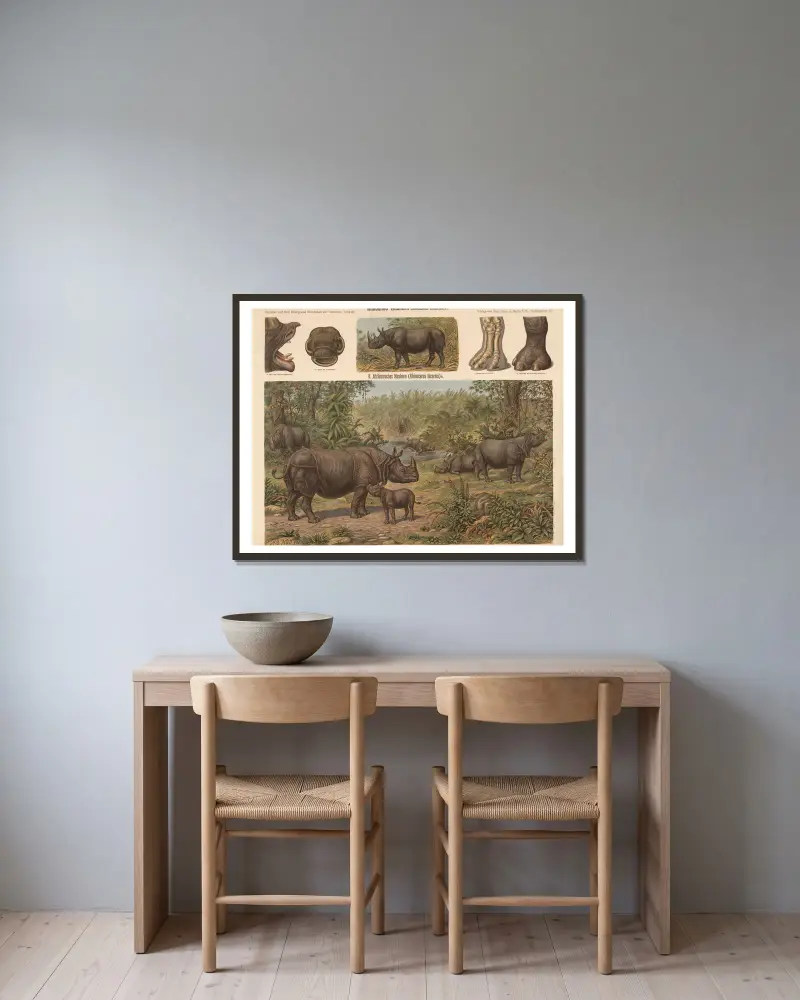 Indisches Nashorn (Rhinoceros unicornis) von Albert Kull gerahmt an einer Wand