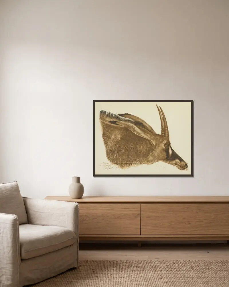 Antilope Hippotrague (Am Dafok) av Alexandre Jacovleff inramad på en vägg