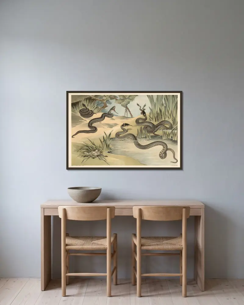 Kreuzotter und Ringelnatter von Alfred Fiedler gerahmt an einer Wand