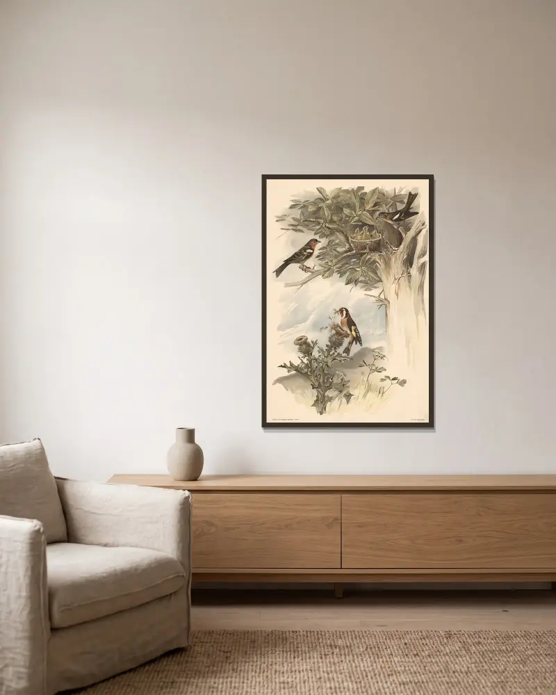 Buchfink und Stieglitz von Alfred Fiedler gerahmt an einer Wand