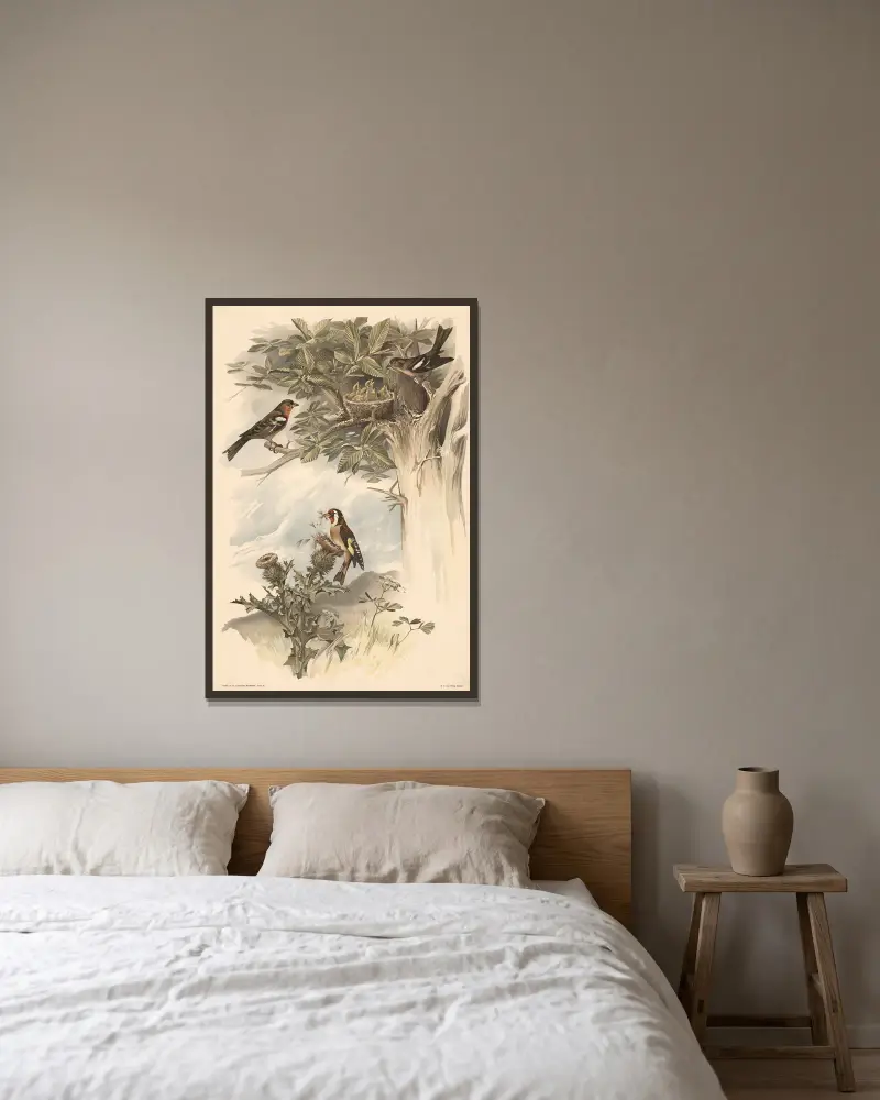 Buchfink und Stieglitz von Alfred Fiedler gerahmt an einer Wand