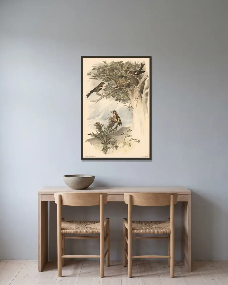 Buchfink und Stieglitz von Alfred Fiedler gerahmt an einer Wand