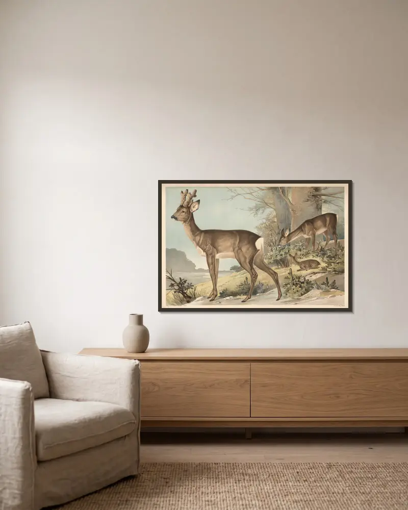 Hirsch von Alfred Fiedler gerahmt an einer Wand