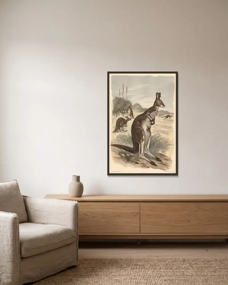 Känguru von Alfred Fiedler gerahmt an einer Wand