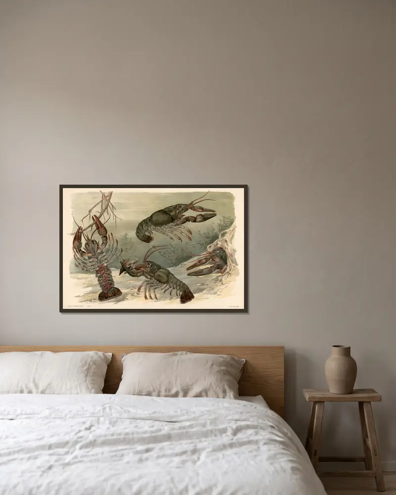 Krebs von Alfred Fiedler gerahmt an einer Wand