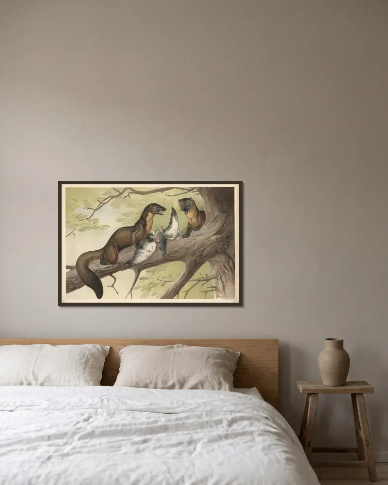 Kuna, Alfred Fiedler w ramie na ścianie