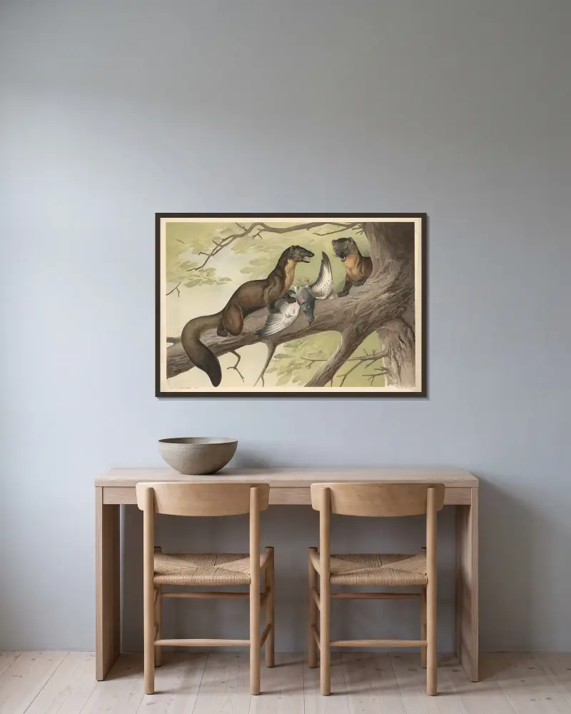 Kuna, Alfred Fiedler w ramie na ścianie