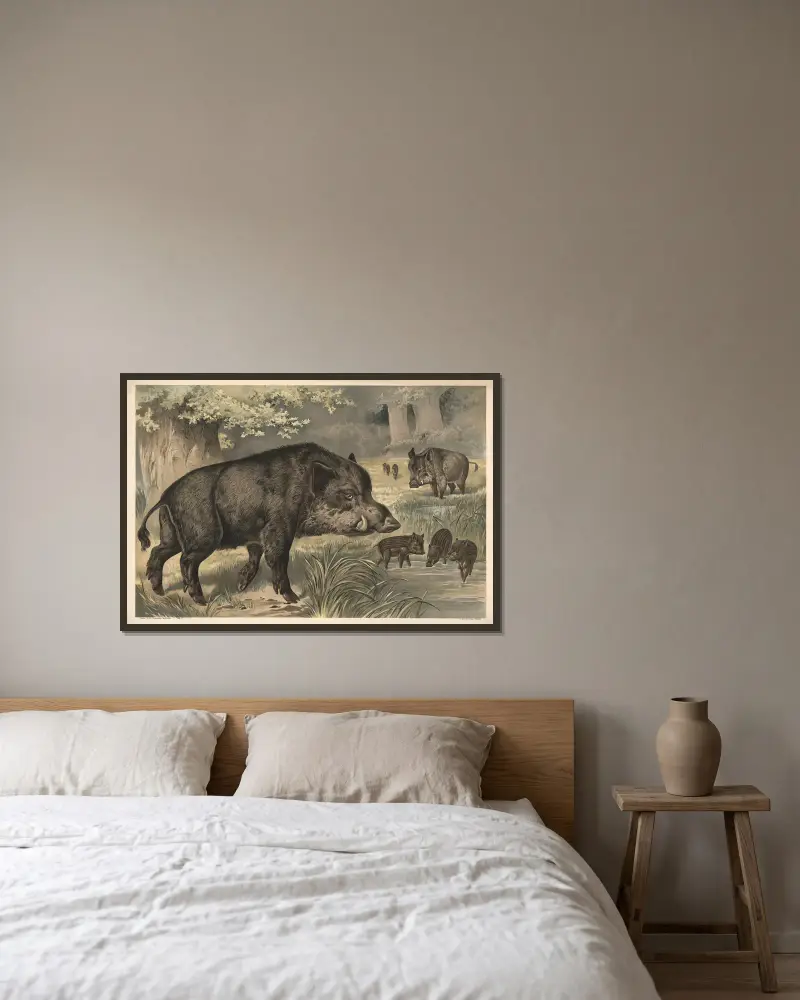 Wildschwein von Alfred Fiedler gerahmt an einer Wand