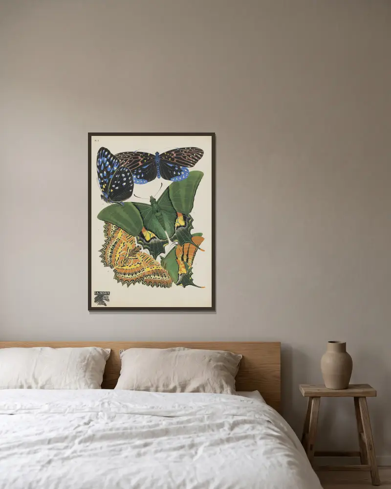 Papillons Pl.06 von Emile-Allain Séguy gerahmt an einer Wand