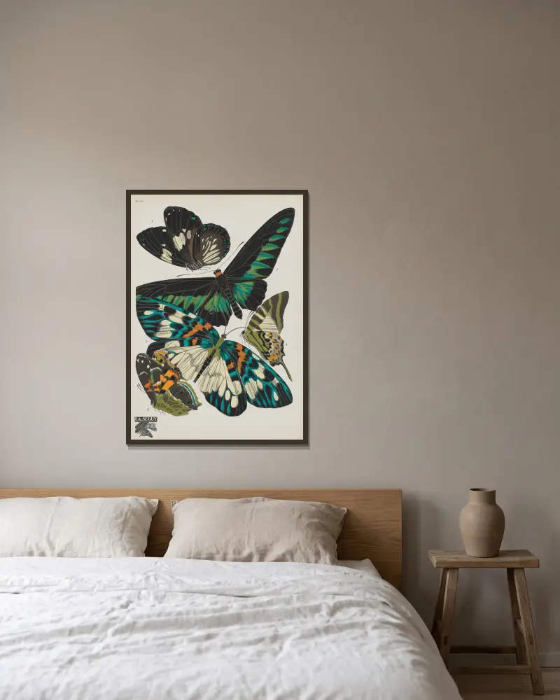 Papillons Pl.10 von Emile-Allain Séguy gerahmt an einer Wand