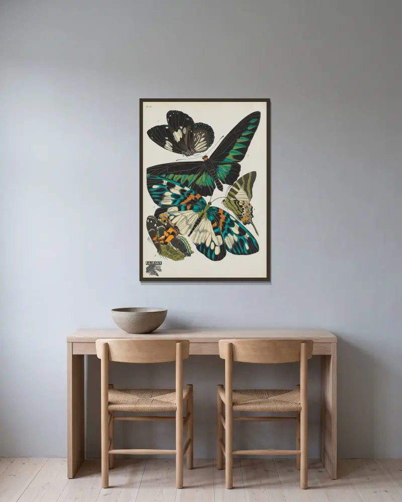 Papillons Pl.10 von Emile-Allain Séguy gerahmt an einer Wand